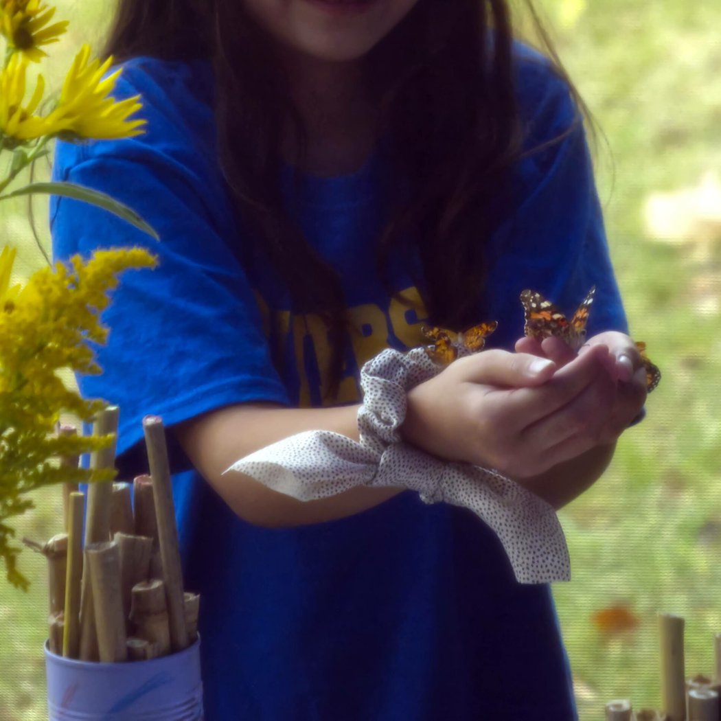 ICT Bee Fest 1
