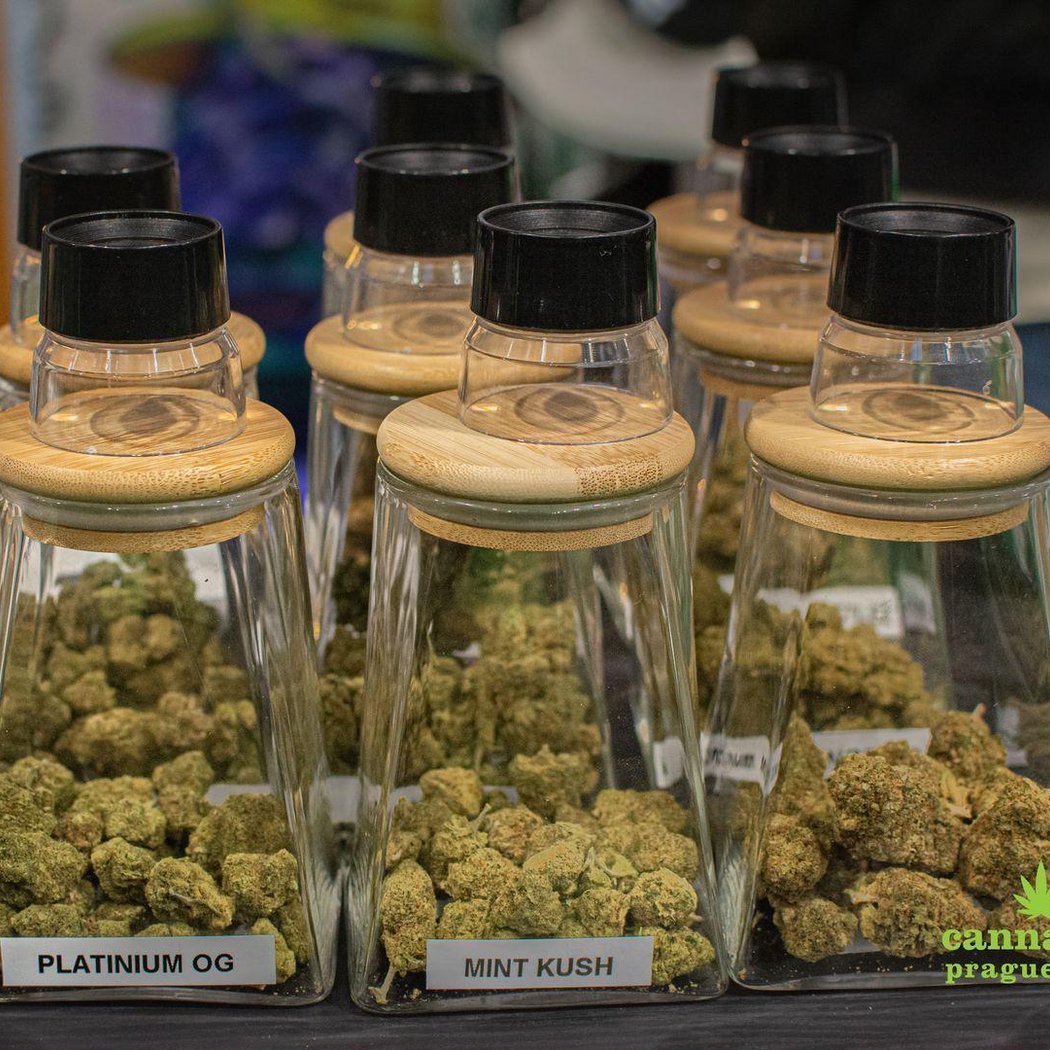 CANNAFEST 2026 1