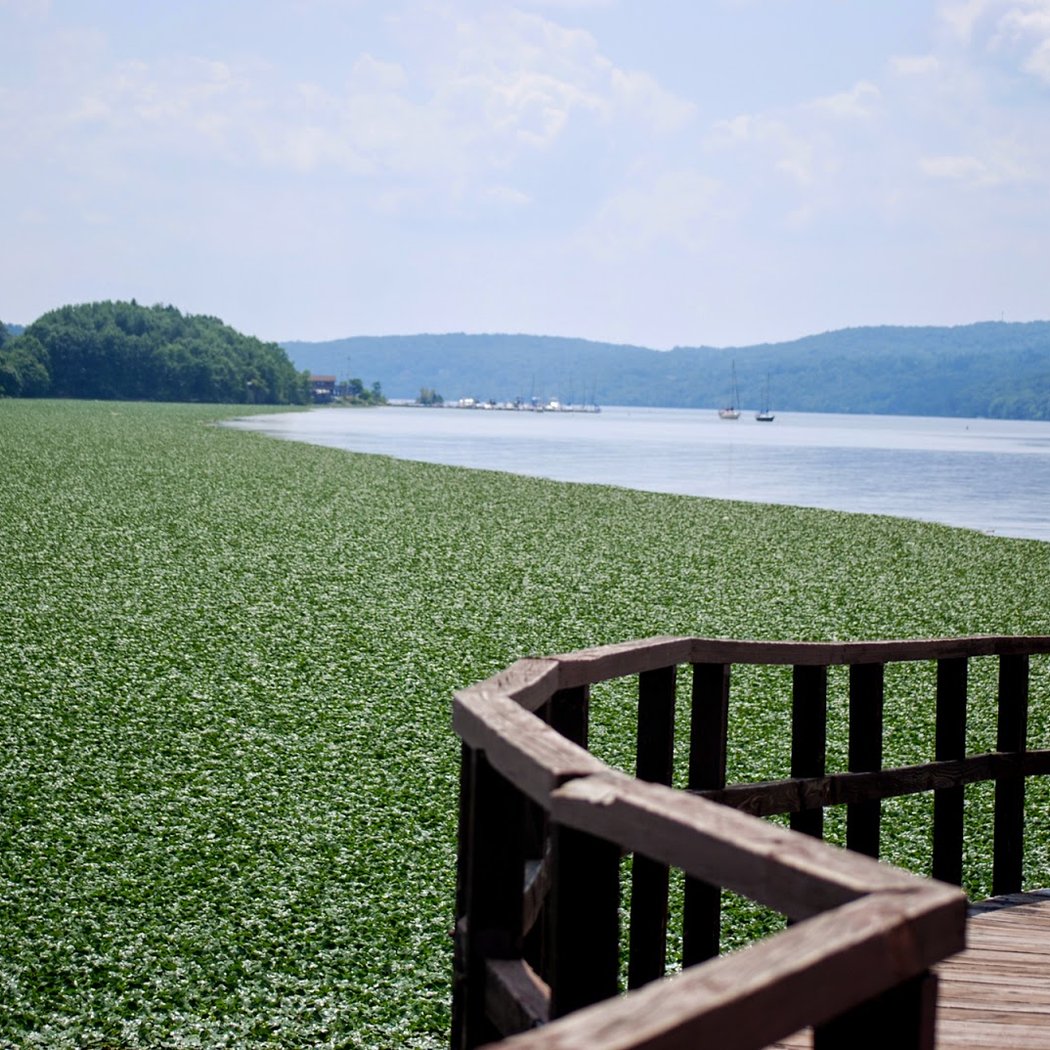 Norrie Point Environmental Center - State Park 1