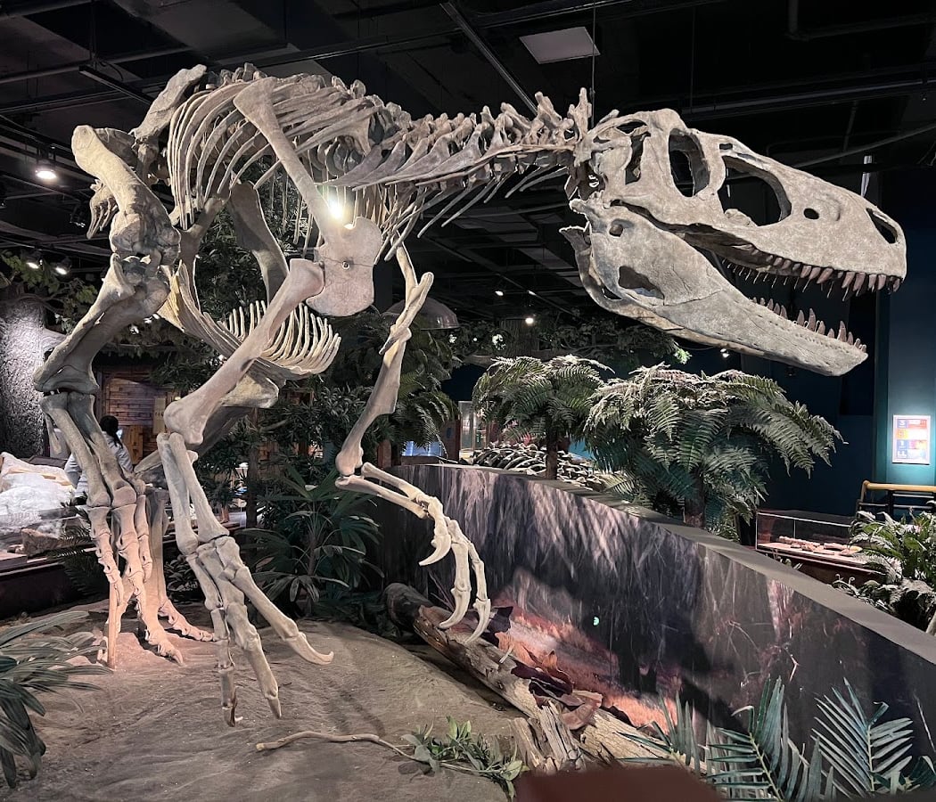 McWane Science Center 1