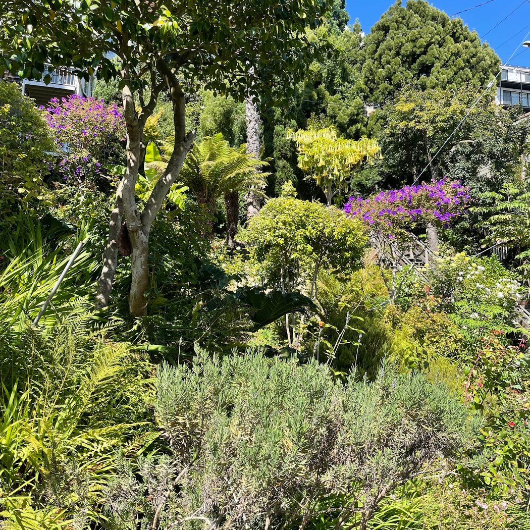 Grâce Marchant garden 3