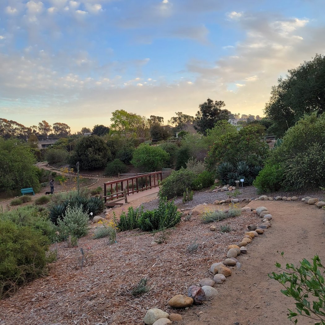 Point Loma Native Plant Garden