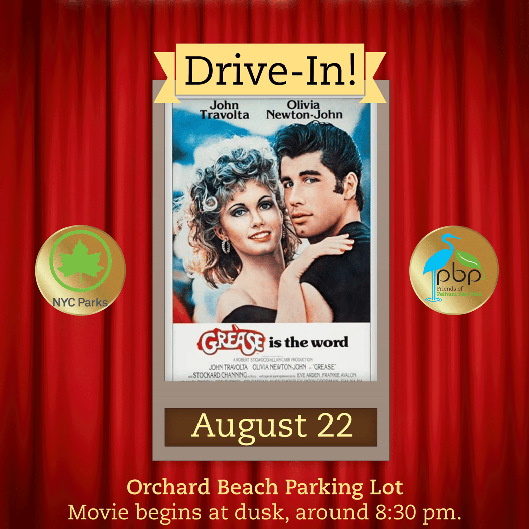 Riviera Nights: Drive In Movie: Grease 1
