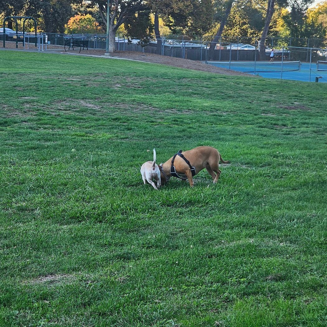 San Miguel Park 3