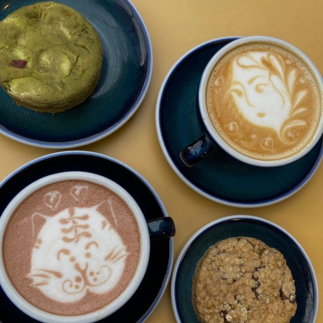 Terres de Café 1