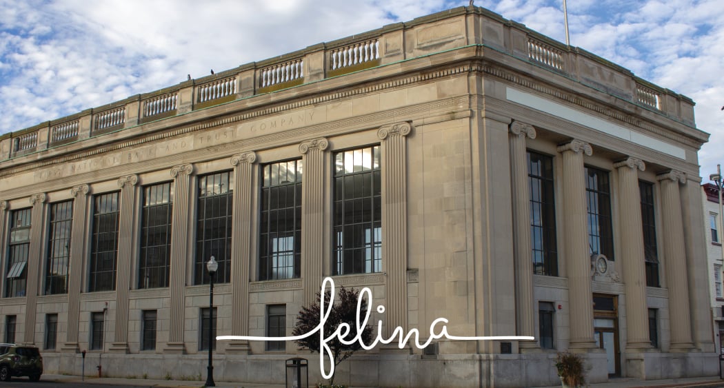 Felina 3