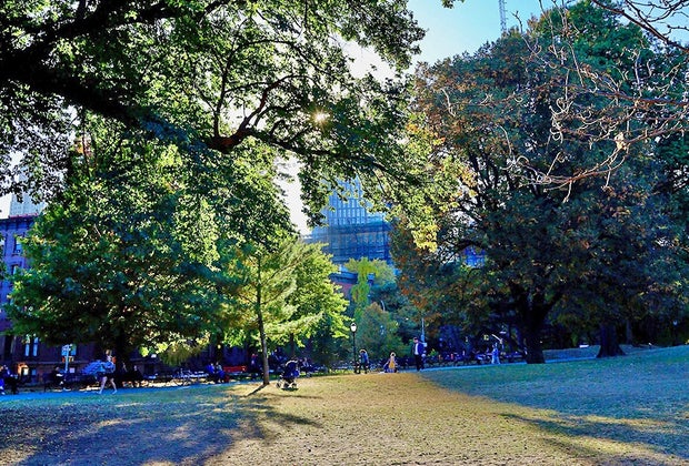 Fort Greene 4