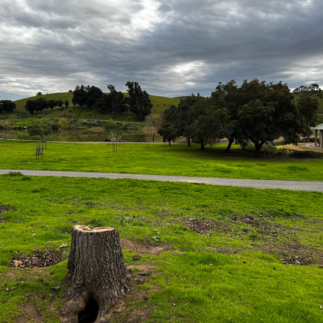 City of Milpitas Dog Park at Ed R. Levin 3