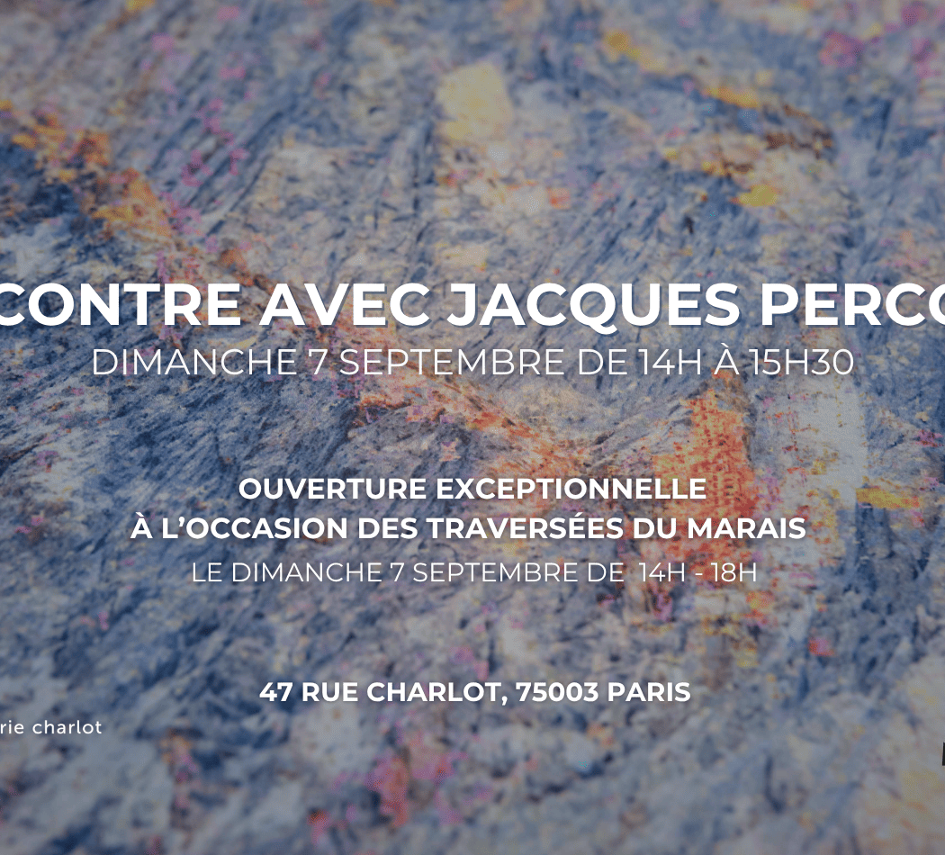 Rencontre avec l'artiste Jacques Perconte 1