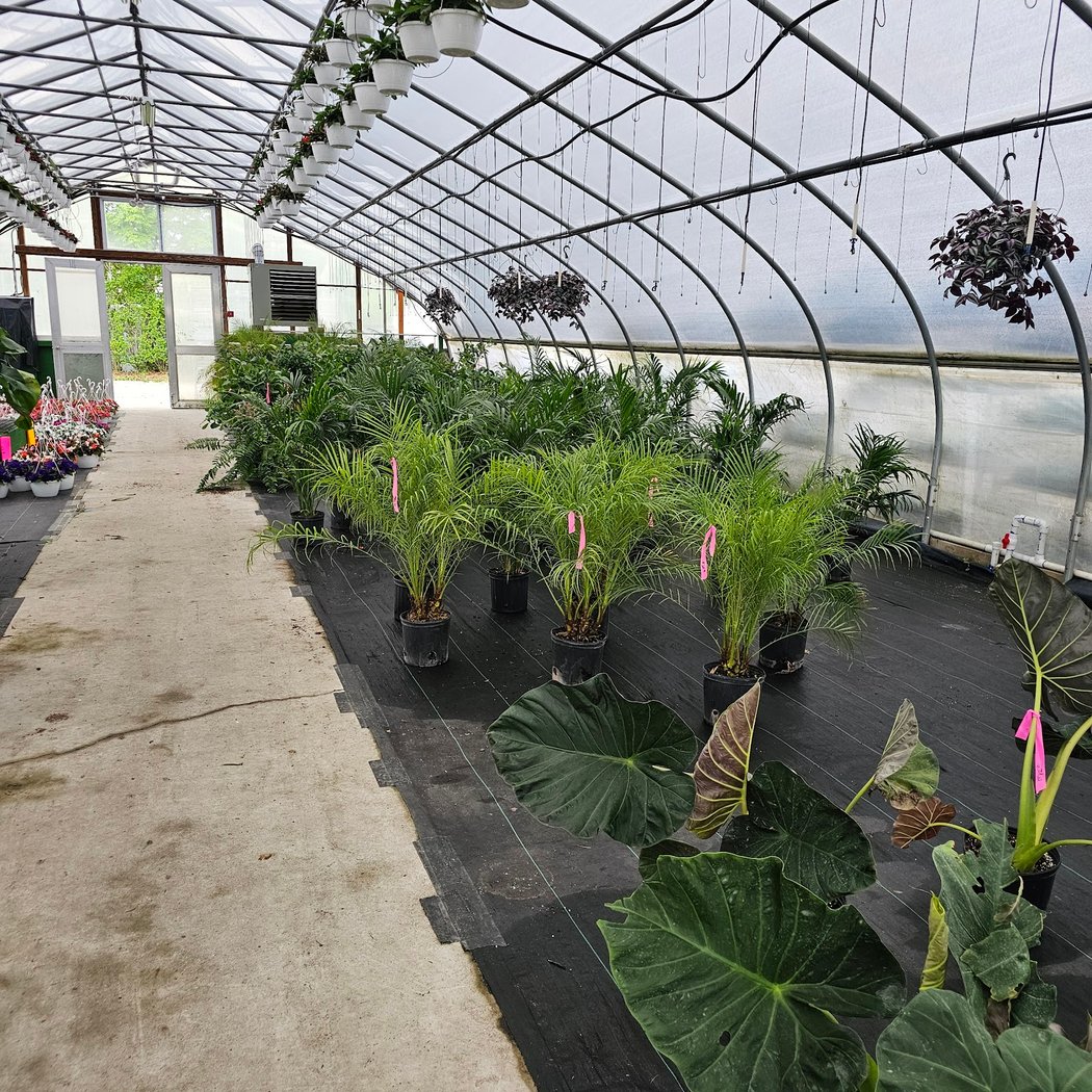 Gabrielsen's Country Plant Farm 3