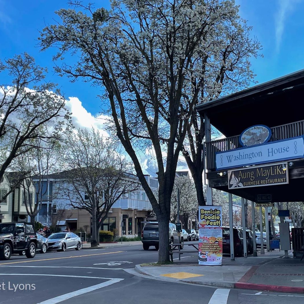 Benicia Main Street Program 2