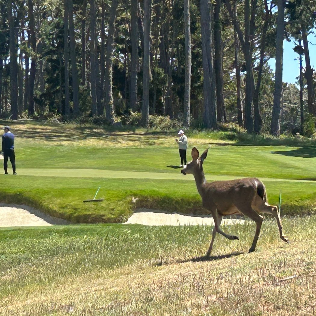 6/6/6 Golf Tournament 1