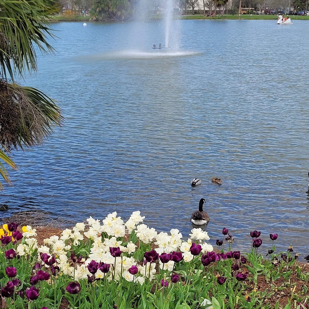 City Park 2