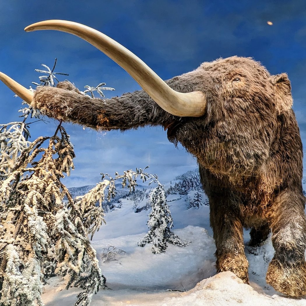 Mashantucket Pequot Museum & Research Center 1