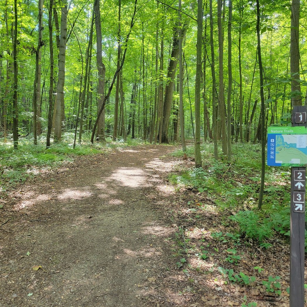 OAK Amazing Race 2