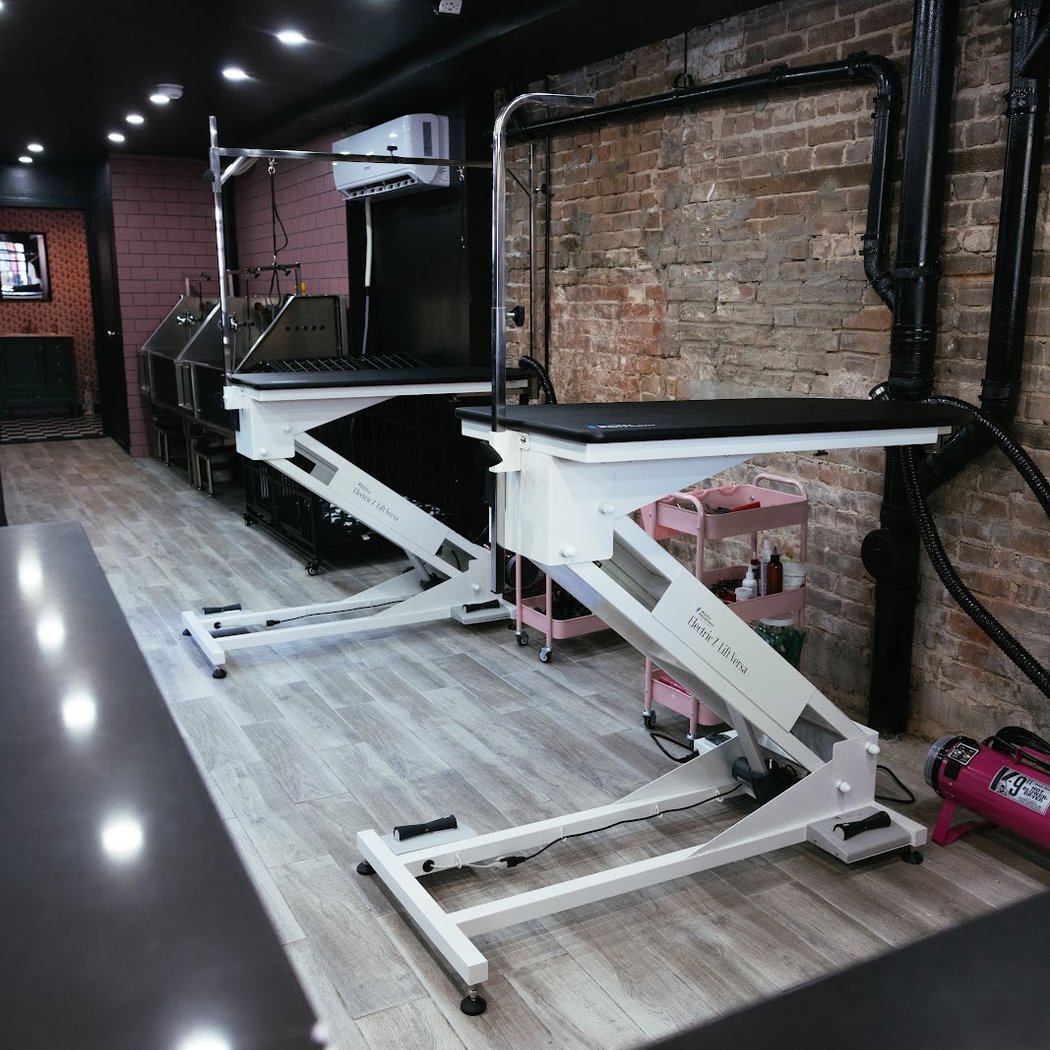 Pooch's Parlor 3