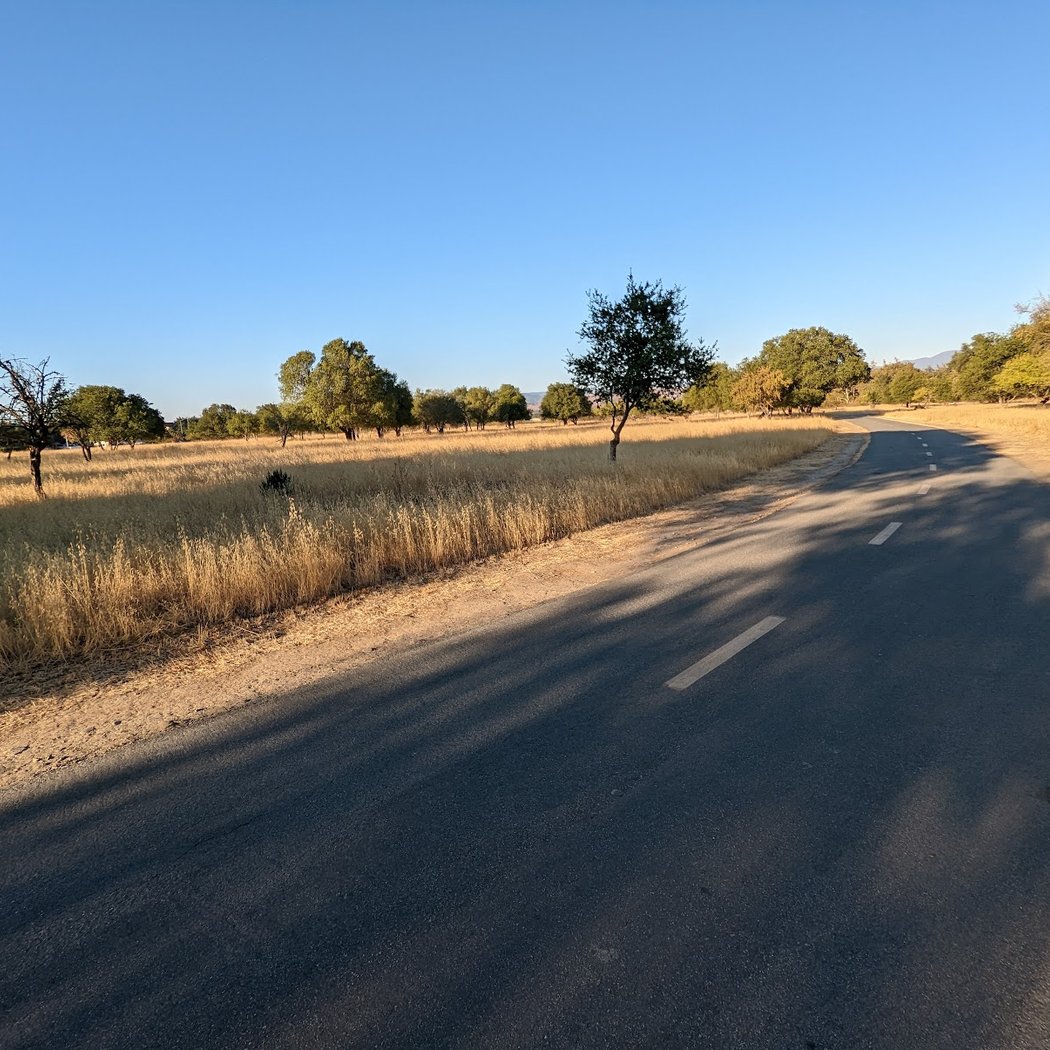 Coyote Creek Trail 2