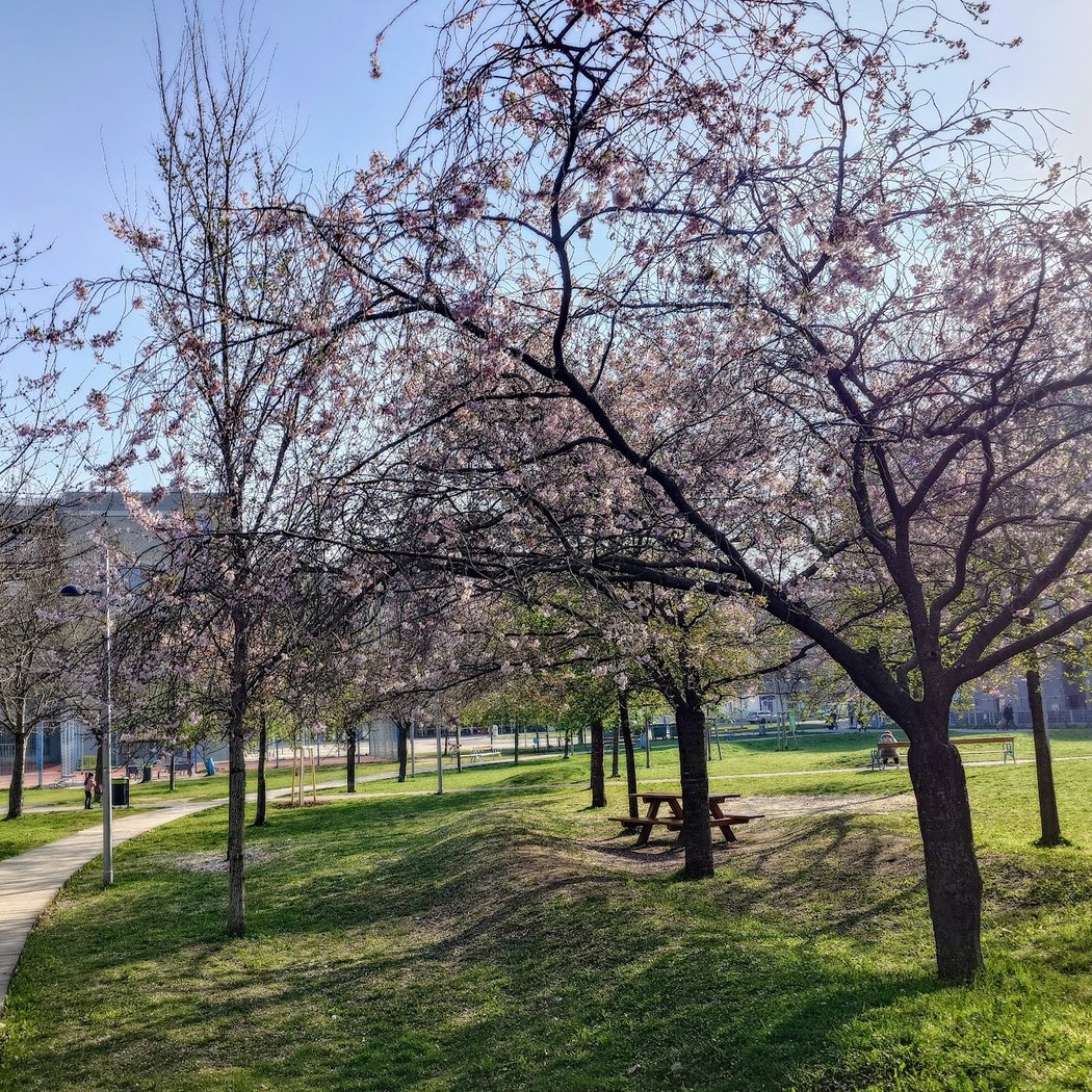 Hyblerpark 2