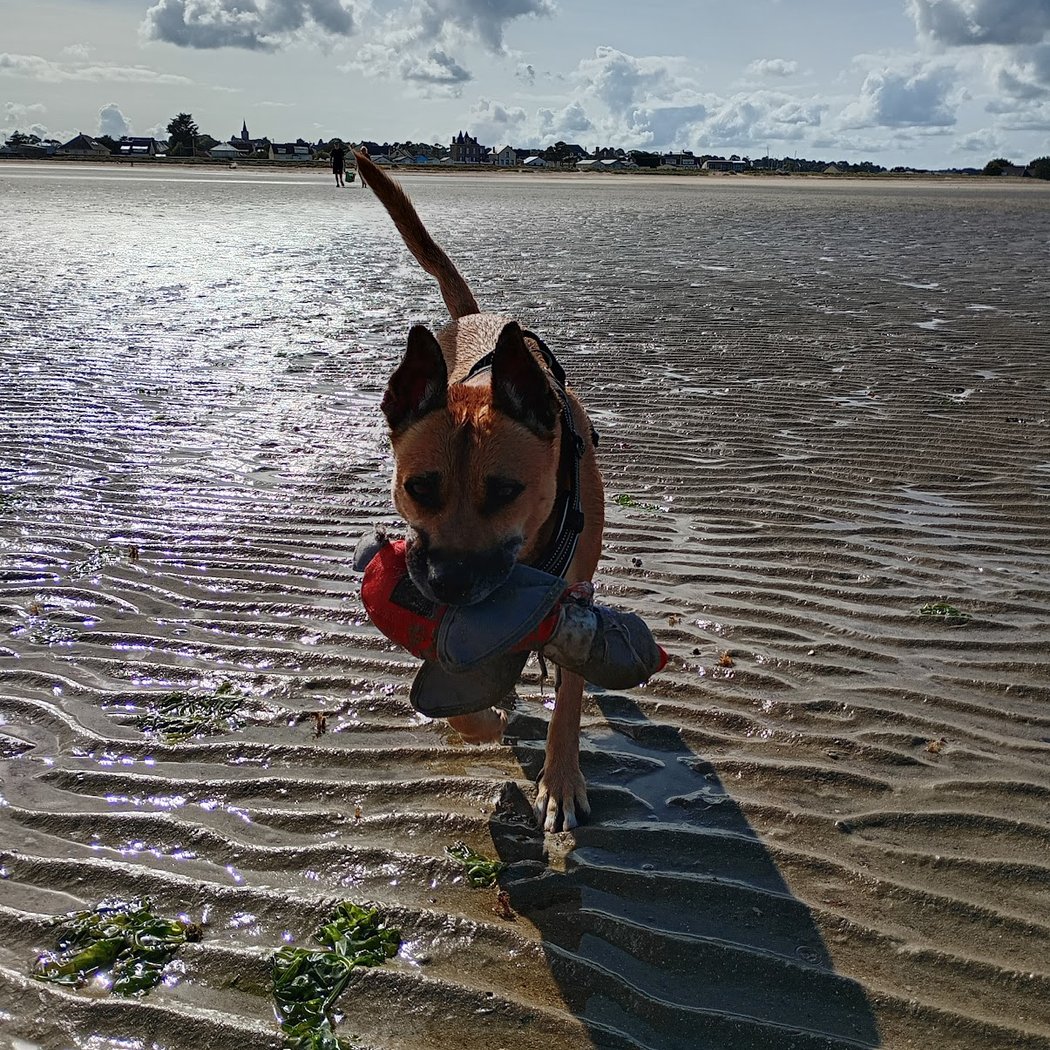 Plage de Quinéville 1