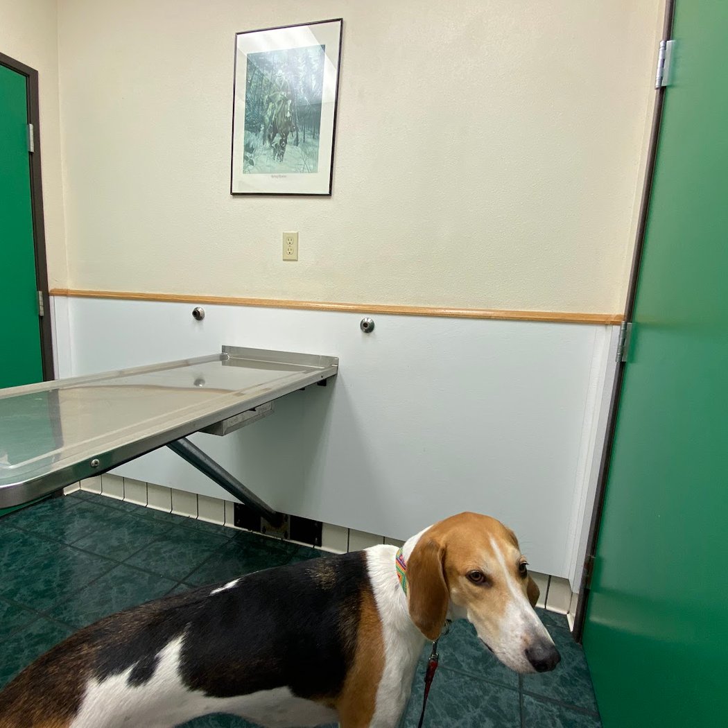 St Louis Veterinary Clinic 3