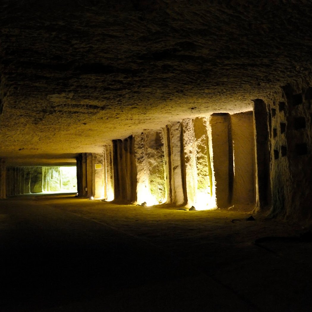 Maison Lacheteau-Blanc Foussy - Grandes Caves Saint-Roch 1