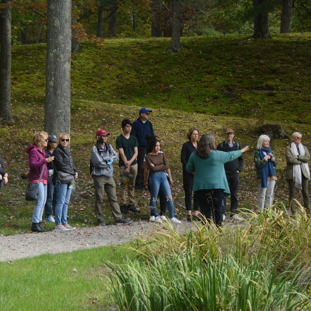 Curator's Tour 1