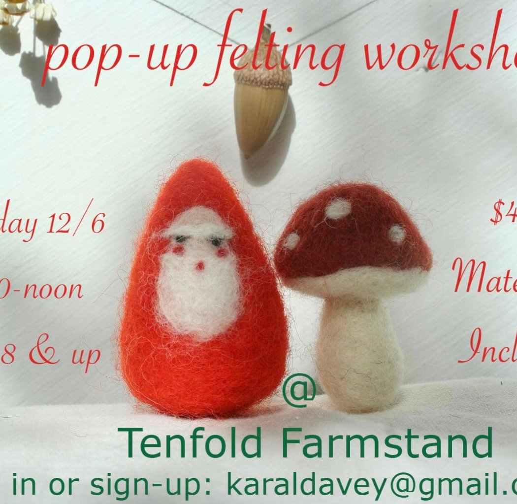 Felting Drop In Class with Kara Davey 1