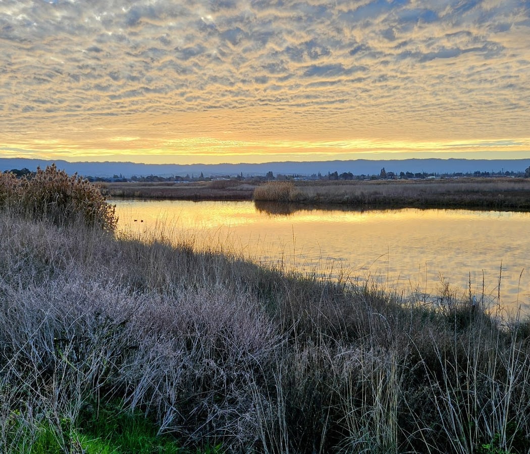 Adobe Creek Loop Trail 1