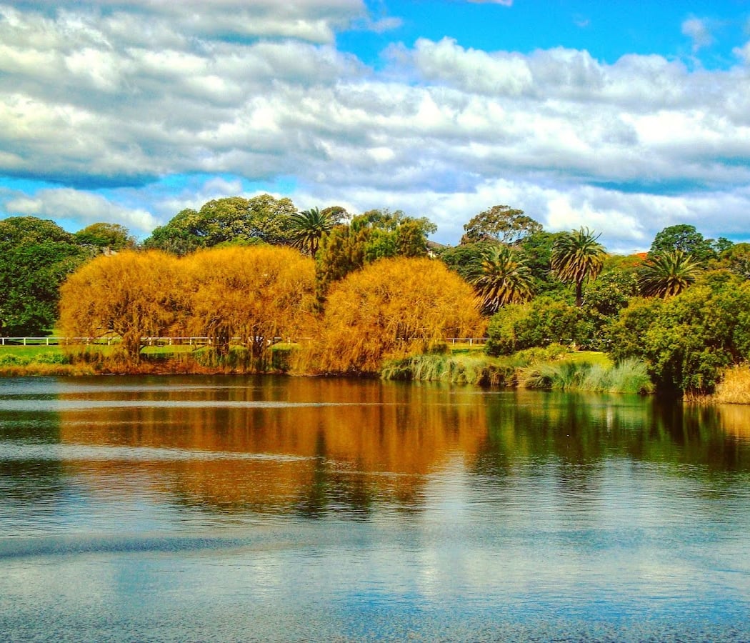 Centennial Parklands 1