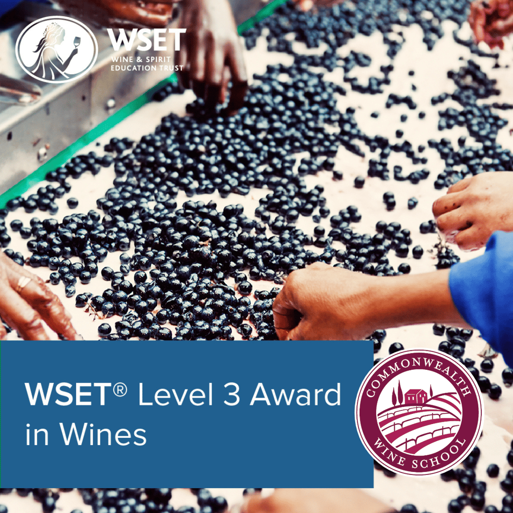 WSET Level 3 1