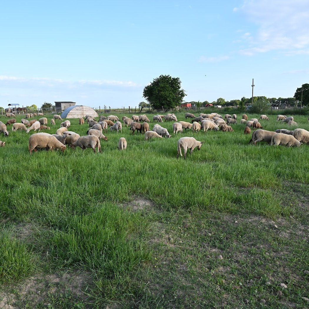 Ferme de Beaumont 2
