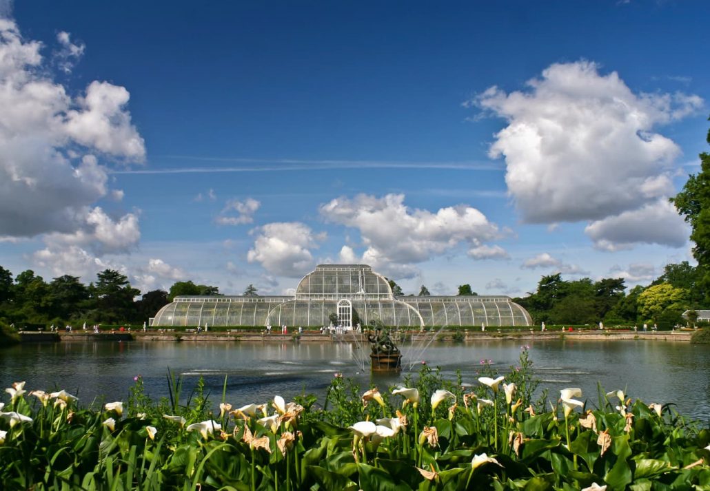Palm House 1