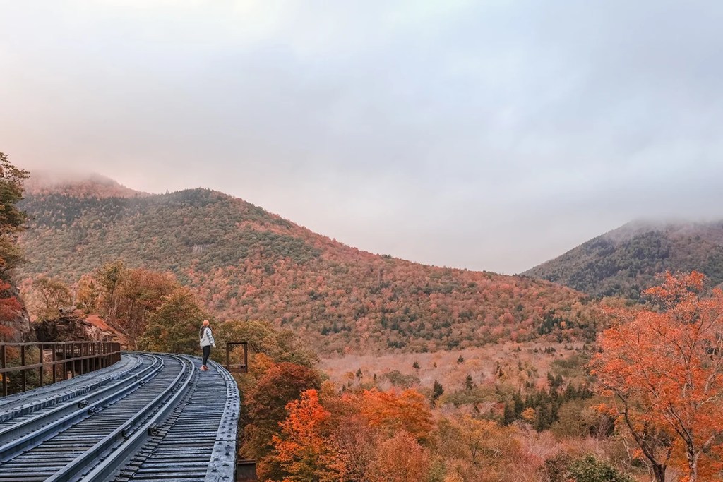 White Mountain National Forest 2