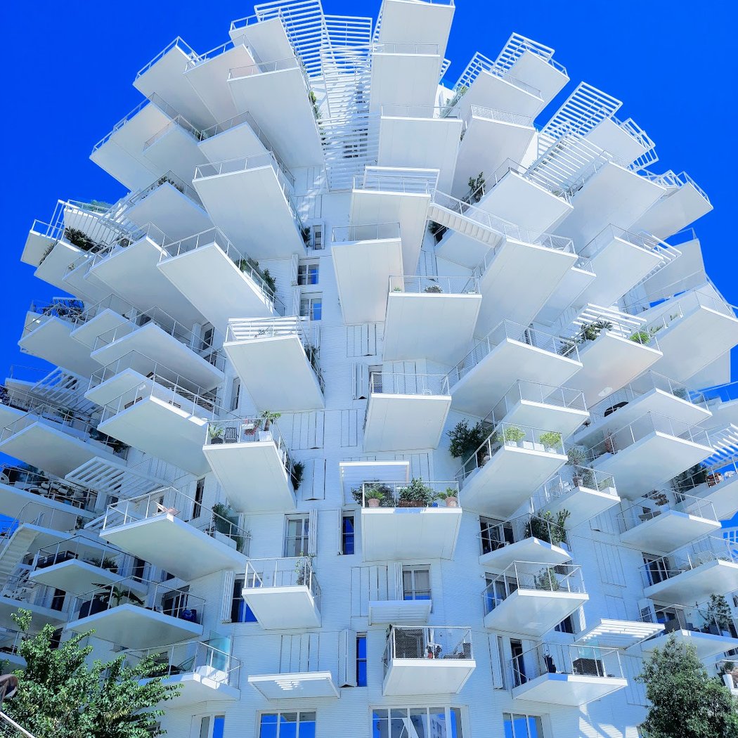 L'arbre blanc 1