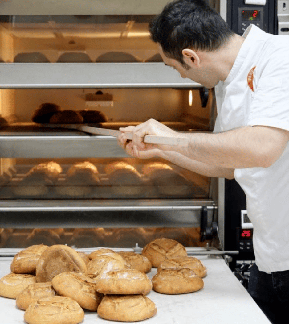 Pane Vivo - Bac 1