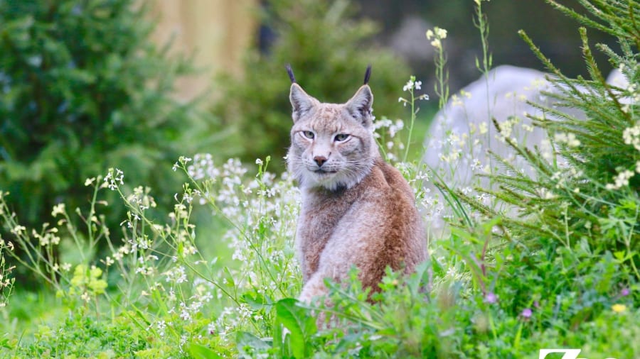 Zoo Labenne 3