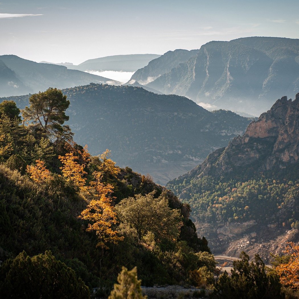 November Hike with John Lynch 1