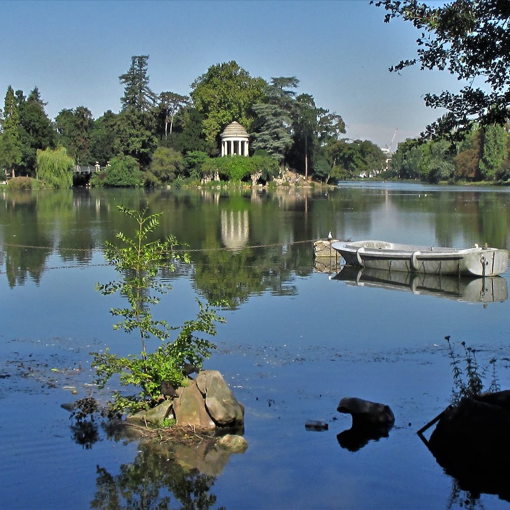 Les oiseaux du lac Daumesnil 3