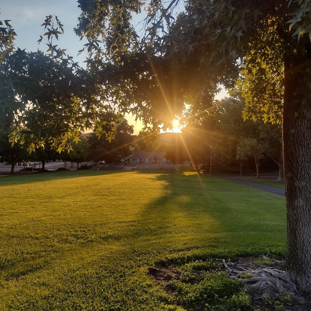 Trower Park 1