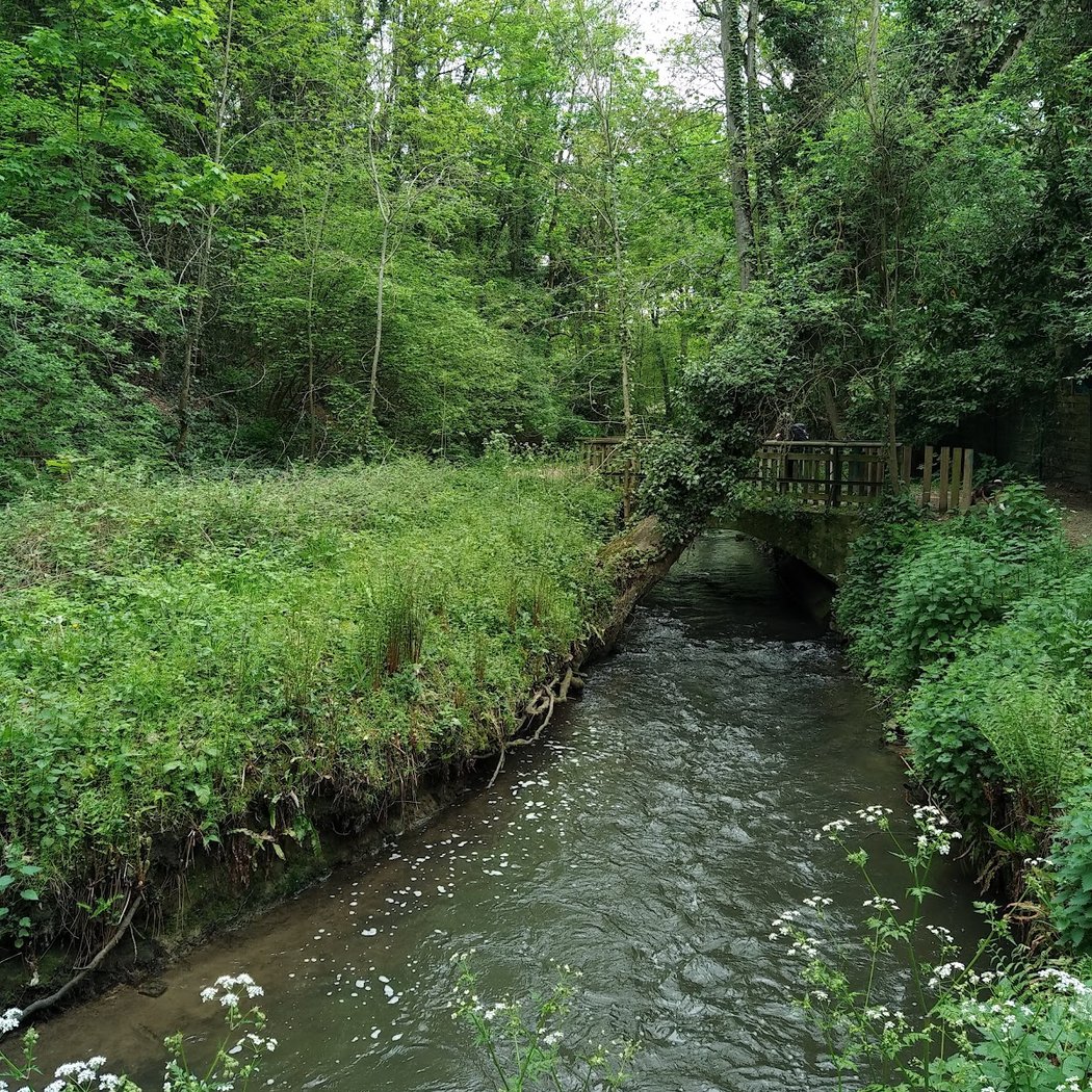 Versailles Forest 3