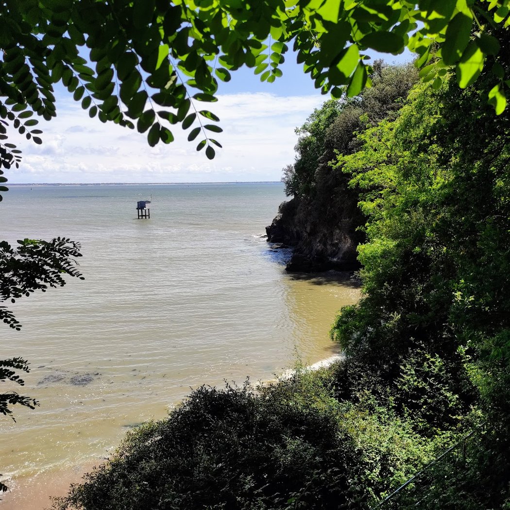 Plage de Bonne Anse 2