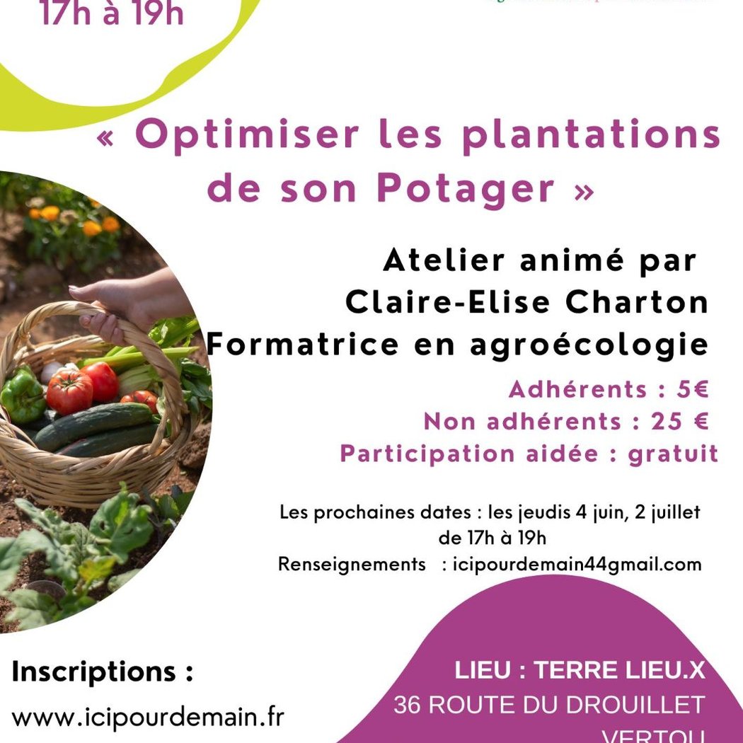 Atelier potager : optimiser les plantations de son potager 1