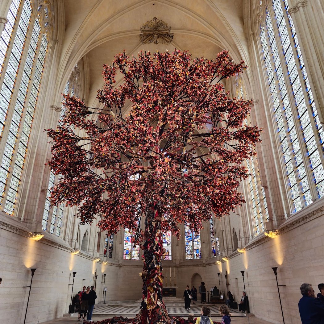 Concert : Suites de Bach par Marc Coppey 3