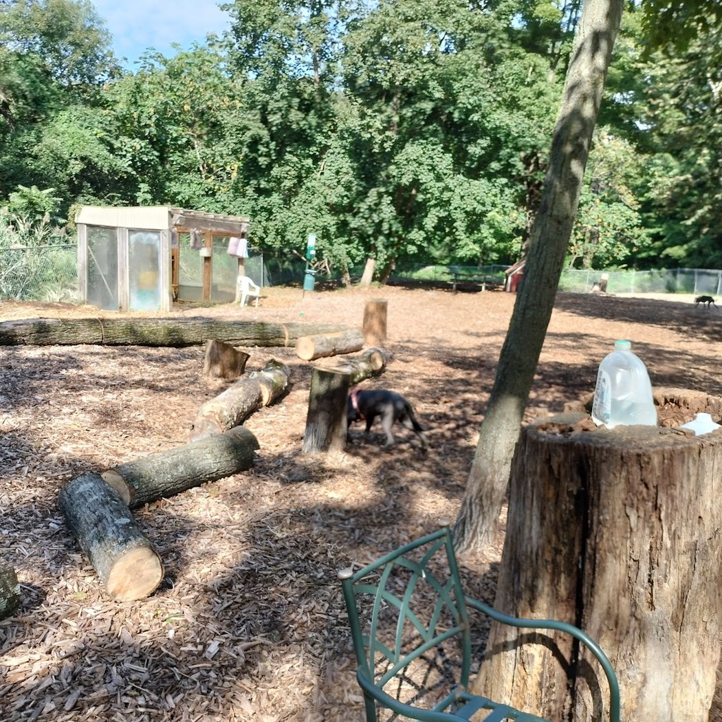 Ossining Dog Park 2