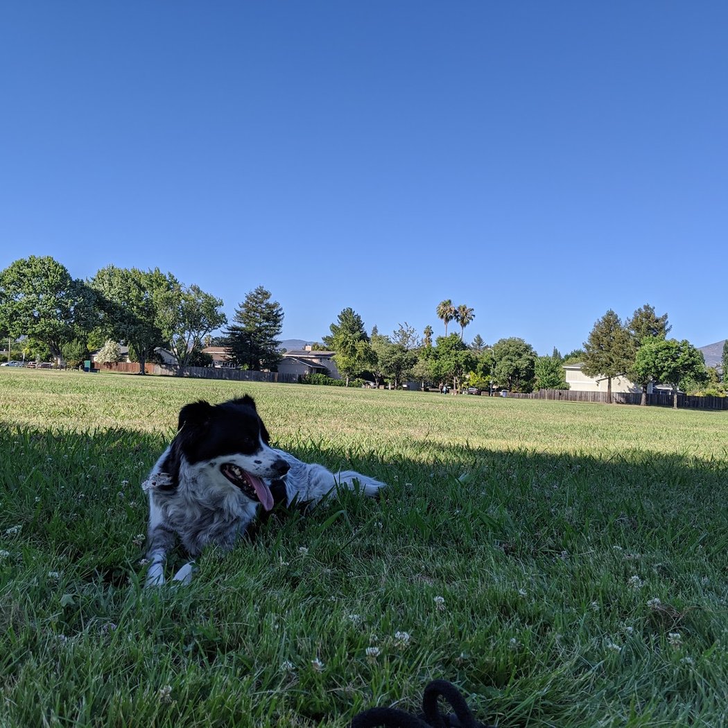 O’Brien Park 2