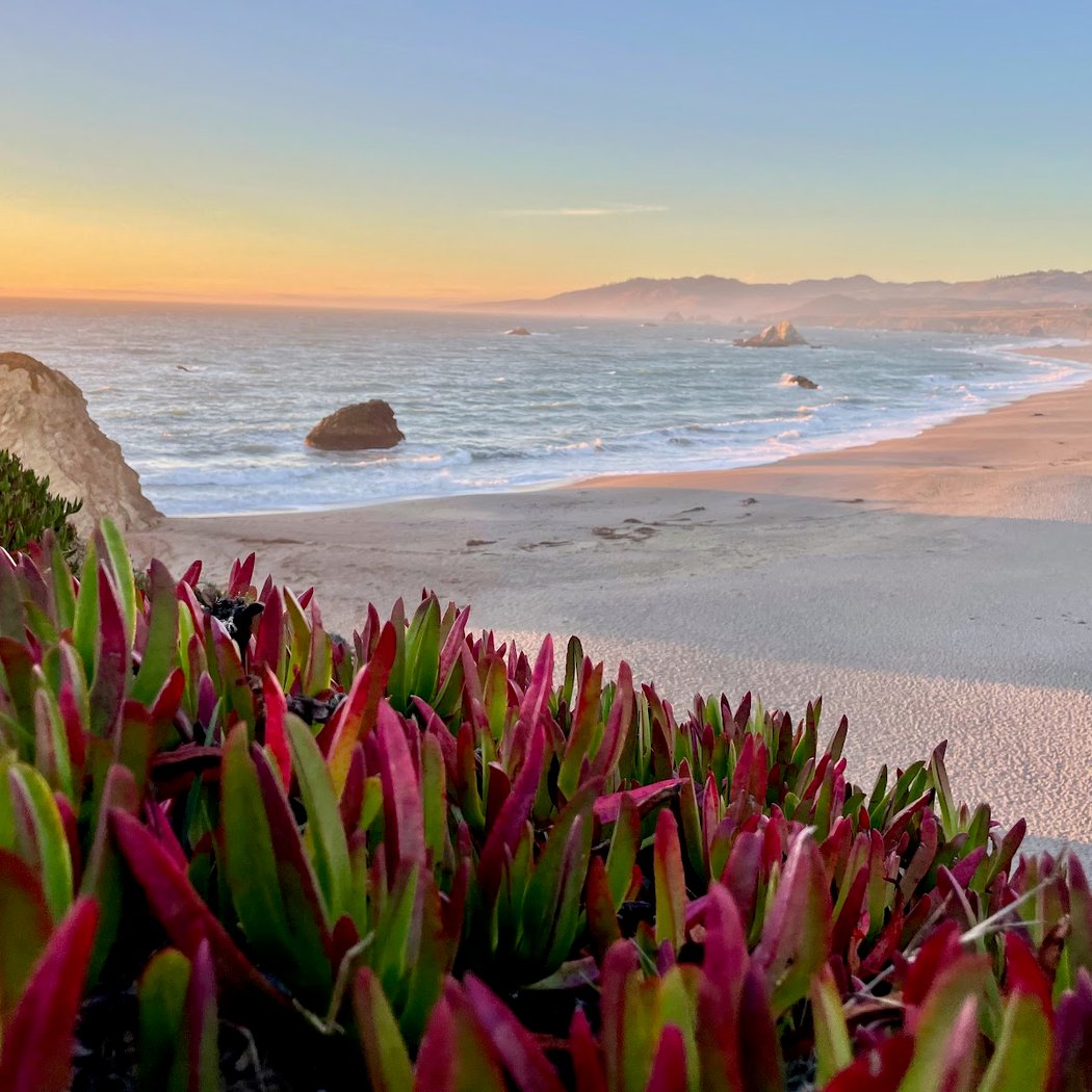 Wrights Beach 1