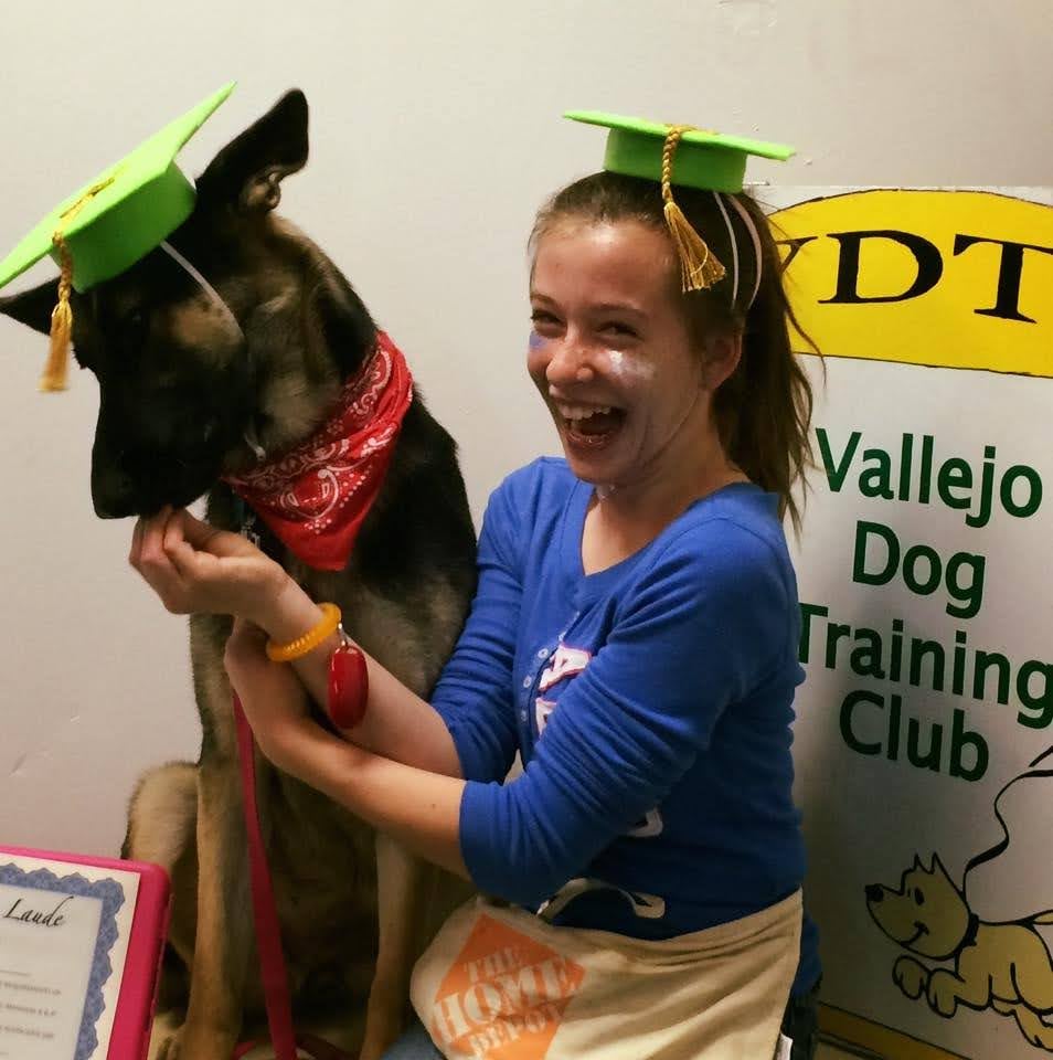 Vallejo Dog Training Club 1
