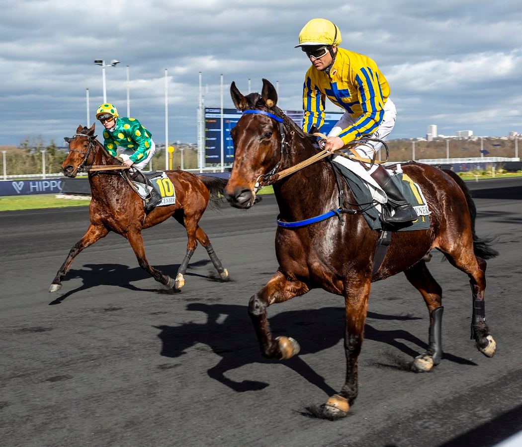 Course de Chevaux Gratuite 1