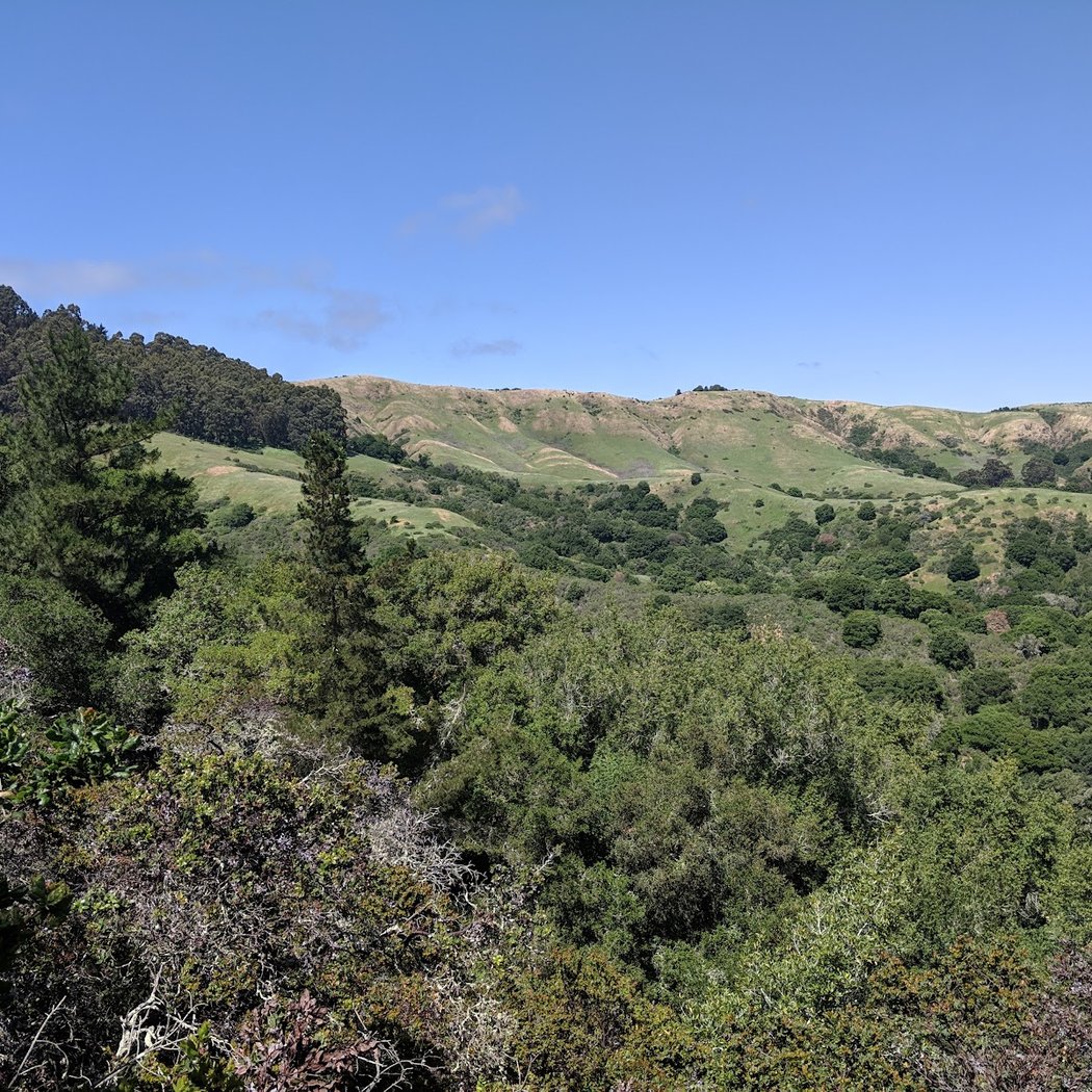 Moraga Turkey Trot 3