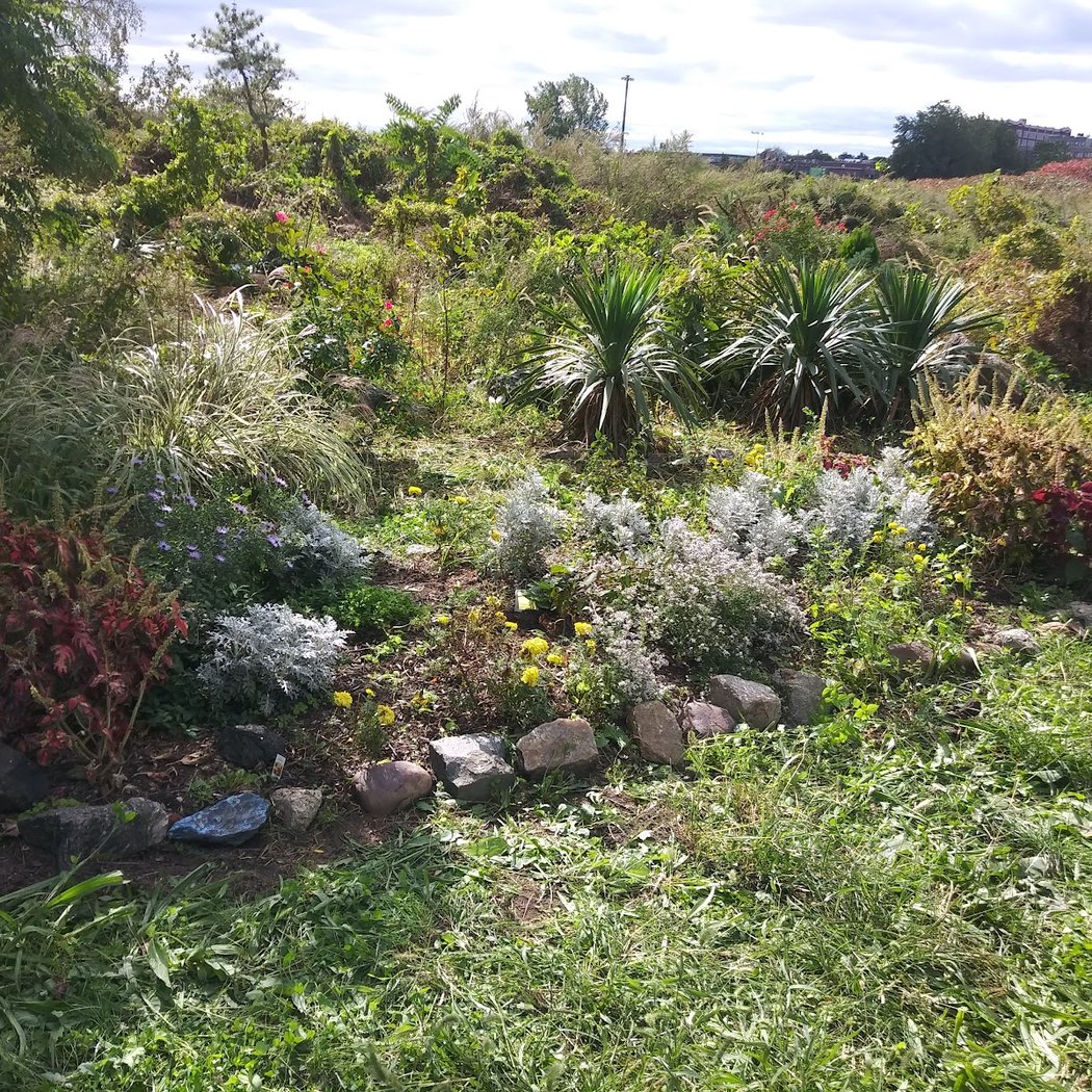 Butterfly Meditation Garden 1